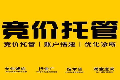 某某SEM服务公司案例分享：从零到一的流量转化策略